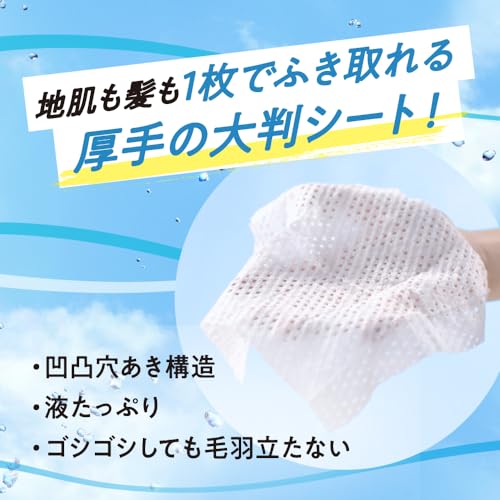 Merit Dry Shampoo Sheets